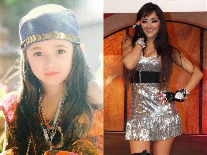 La carrera de Sherlyn ha estado dividida entre la música y la actuación. La estrella debutó como actriz en 1993 junto a Gloria Trevi en la película Zapatos Viejos, mientras que en 1996 se integró al grupo musical KIDS. Tras la desintegración del grupo, se sumó a proyectos como Alguna vez tendremos alas (1997), Mi destino eres tú (2000), Clase 406 (2002), Fuego en la sangre (2008), Camaleones (2009), Una familia con suerte (2011), Amores verdaderos (2012) y Antes muerta que Lichita (2015).