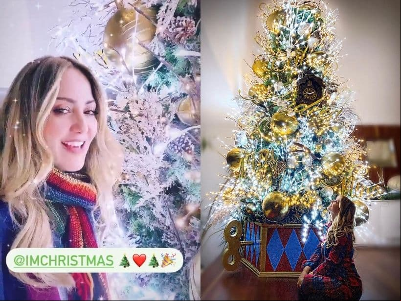 Andrea Legarreta se sumó a la fiebre decembrina y presumió en Instagram el resultado final de la decoración de su árbol de Navidad, el cual está repleto de esferas doradas, piñas con escarcha blanca, un reloj y los nombres de cada integrante de la familia.