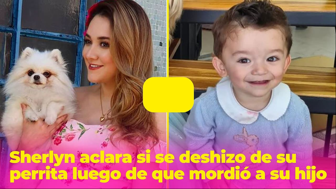 Sherlyn aclara si se deshizo de su perrita ‘La Neni’ tras haber mordido a su hijo André en la cara