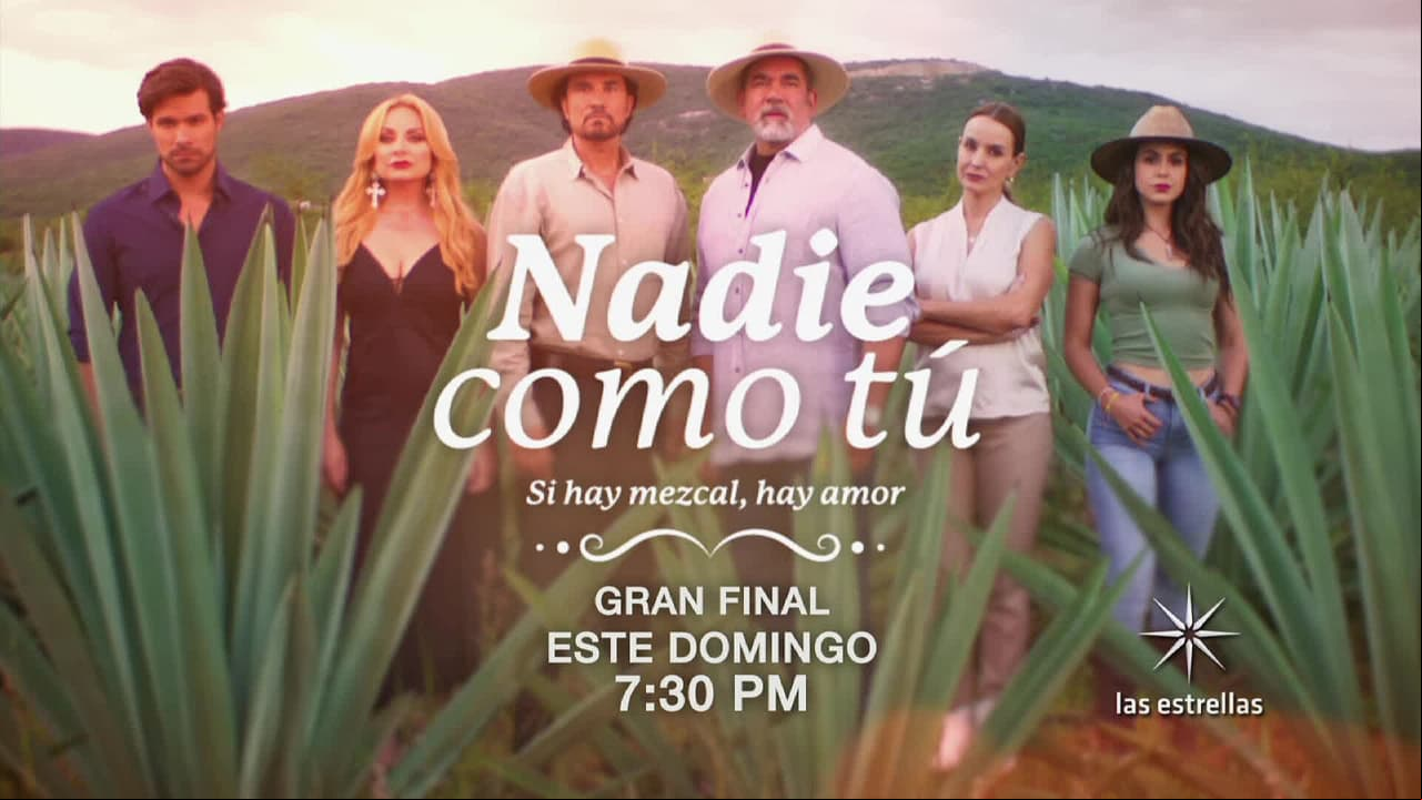 Nadie como tú: ¡Este domingo GRAN FINAL con Las Estrellas!