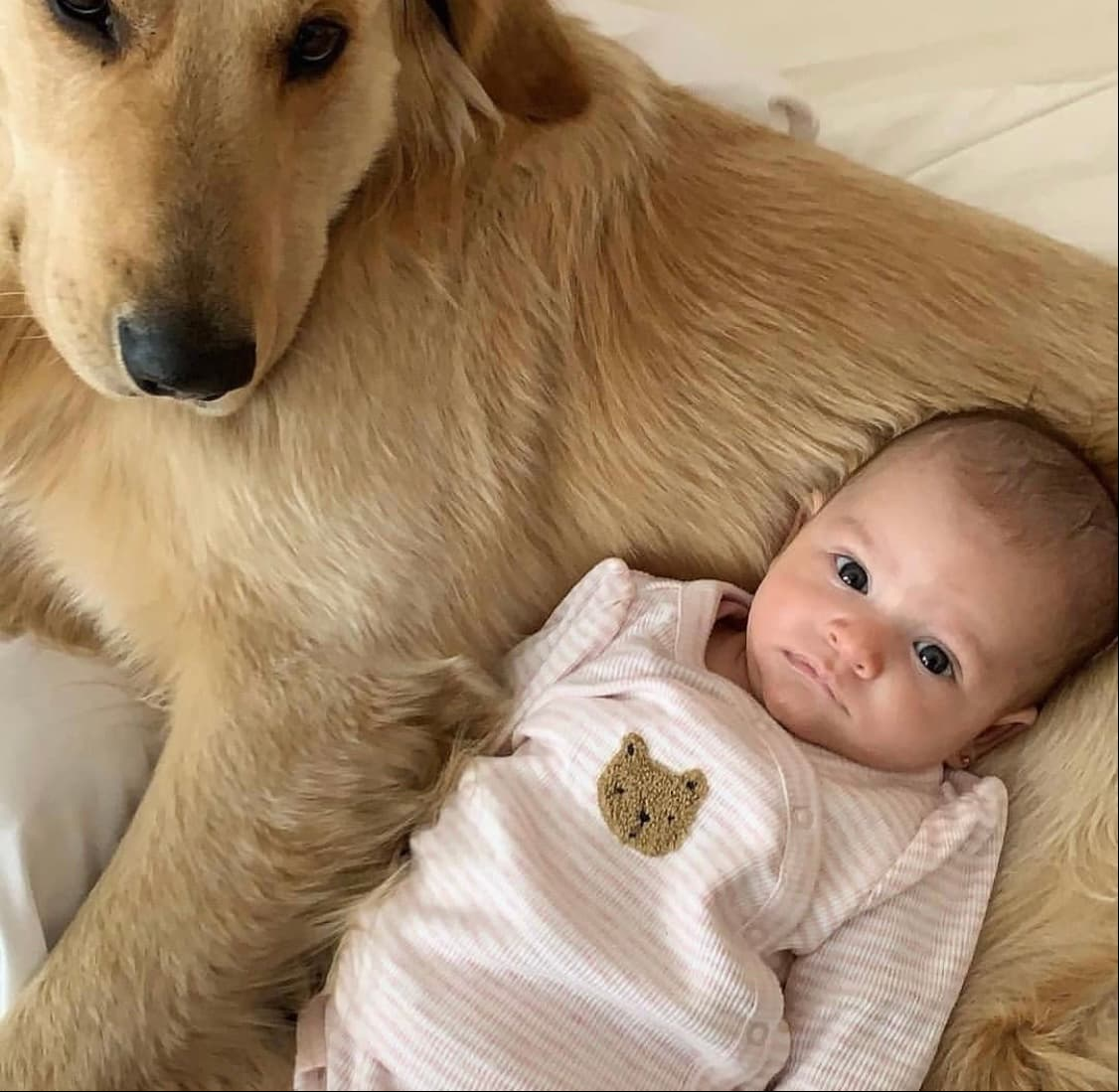 En esta otra imagen, Victoria aparece recostada en 'Rocco', un perro de raza Golden Retriever, con el que la pequeña ya había posado a días de nacida. En aquella ocasión, Méndez contó que el perrito es su guardián.