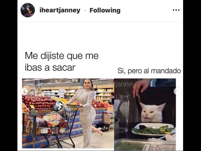 El famoso gato Smudge Lord tampoco se salvó de esta situación, por ello aparece en el meme junto a la cantante.