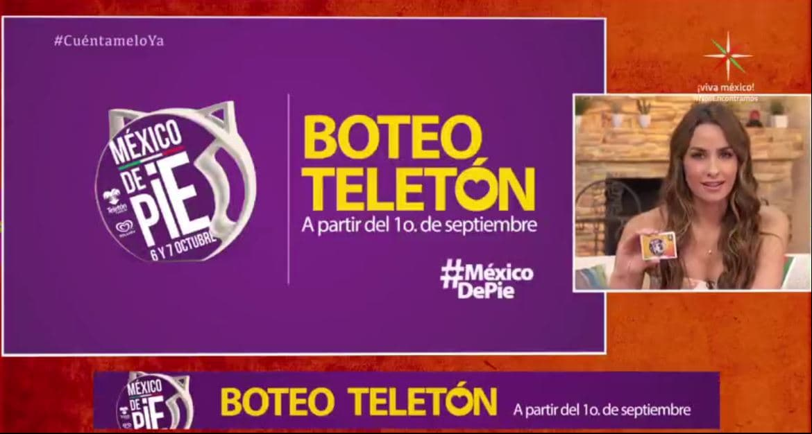 ¡El Boteo Teletón 2017 ya está en marcha!