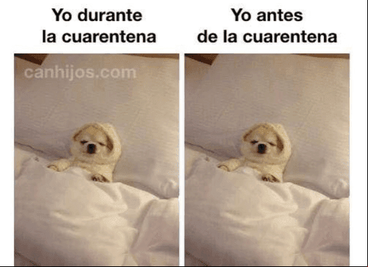 Los mexicanos le temen a pocas cosas y en estos días de aislamiento se han puesto muy creativos con respecto al COVID-19.
