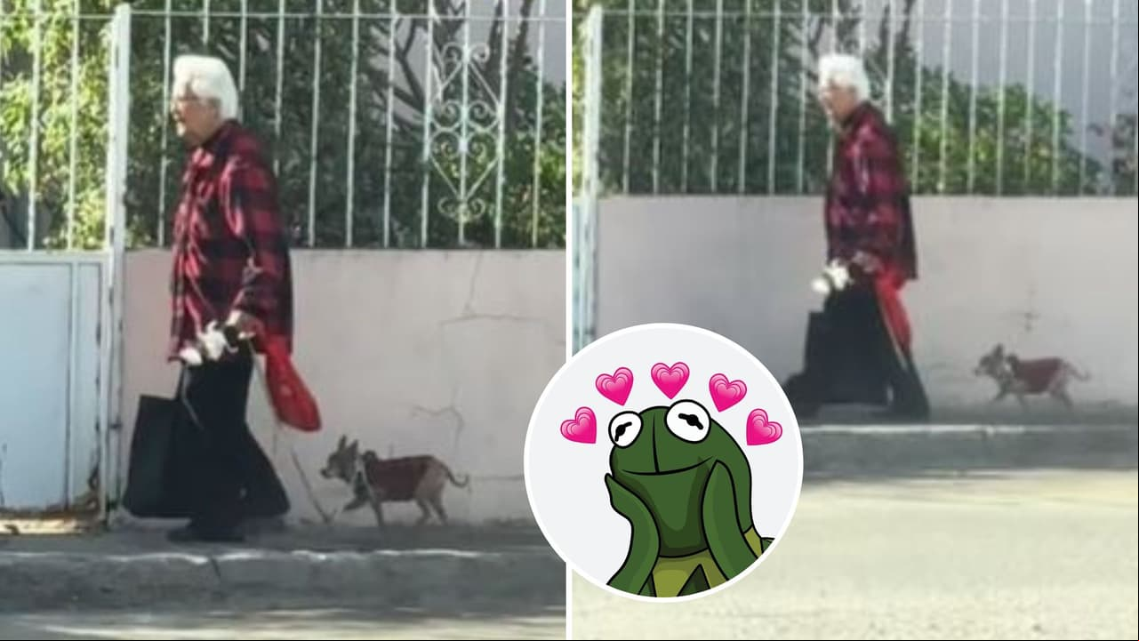 Abuelita viste combinada con su perrito y sus looks conquistan TikTok