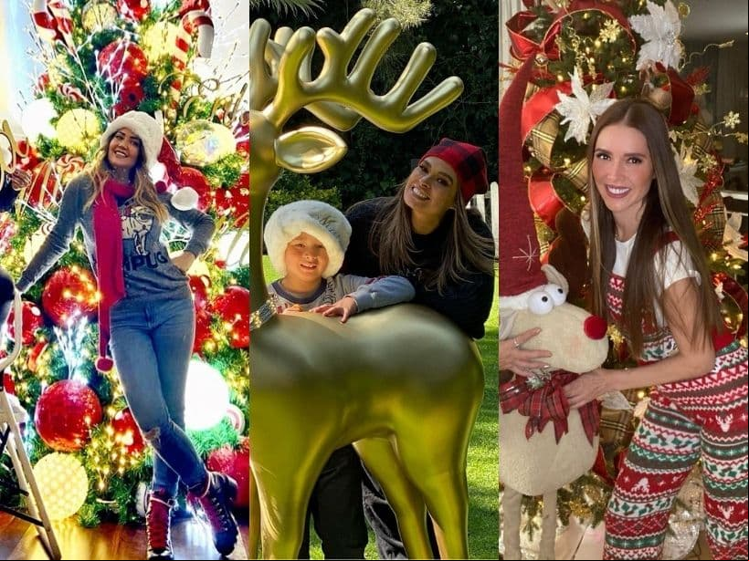 El espíritu navideño ha comenzado a invadir a famosos como Andrea Legarreta, Galilea Montijo y Marlene Favela, quienes han presumido en redes sociales sus espectaculares árboles de Navidad, así como la decoración de su hogar. ¡Mira las fotos!