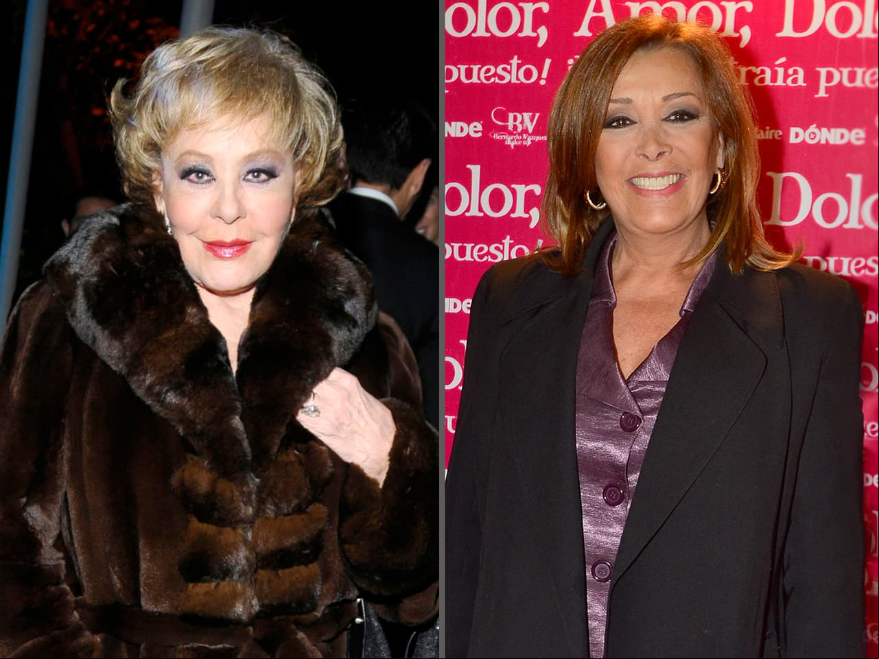 En 1981, madre (Silvia Pinal) e hija (Sylvia Pasquel) se distanciaron por un hombre: Fernando Frade, quien fue expareja de Pinal y esposo de Pasquel hasta 1987.
