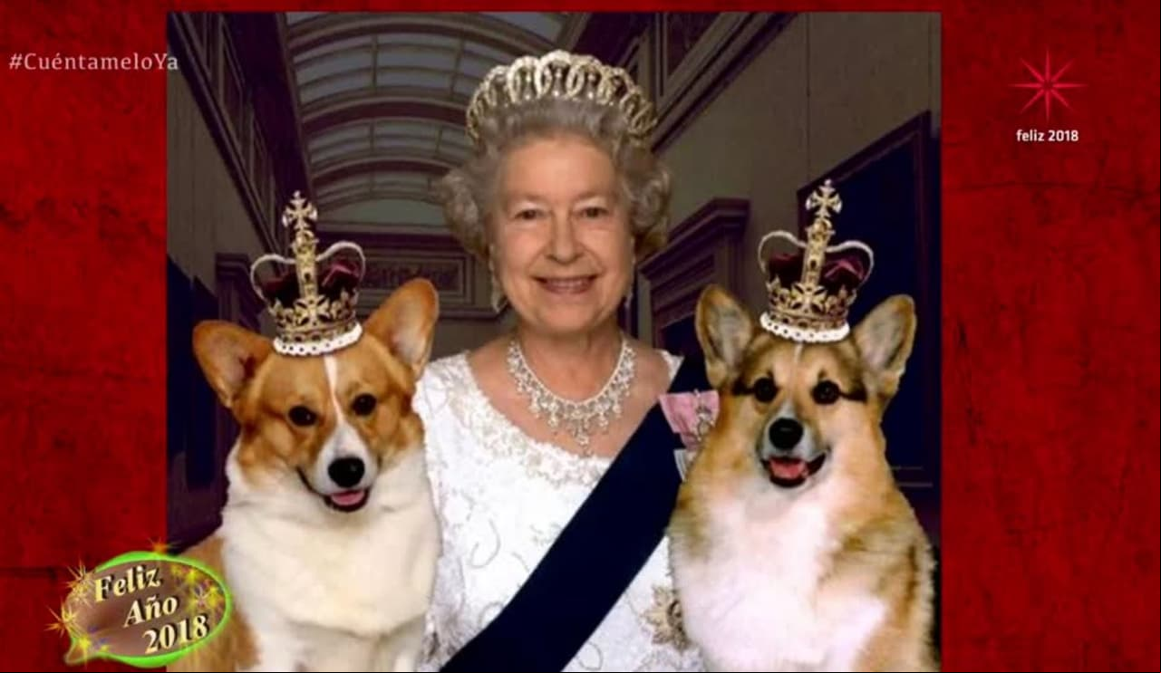 ¡Las mascotas de la realeza!: Descubre quiénes son sus mejores amigos