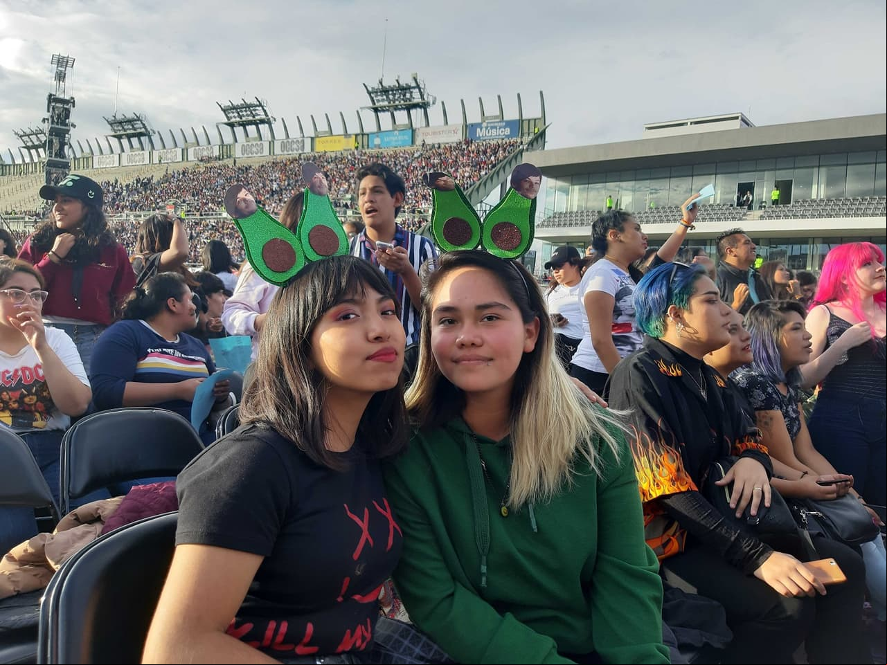 Directioners se van de pinta y renuncian a su trabajo para verlos en Premios Telehit