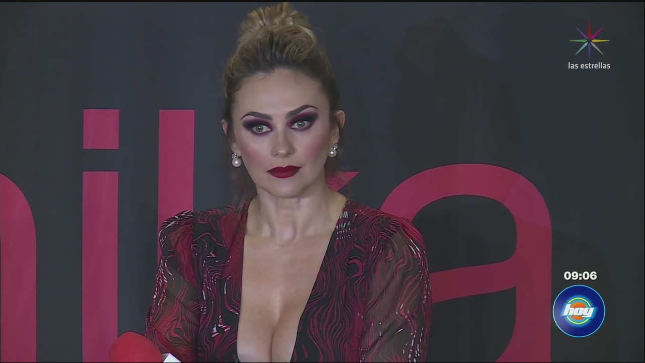 Aracely Arámbula demandará a Luis Miguel si usan su imagen para bioserie
