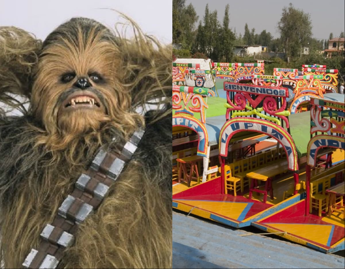 Chewbacca disfrutó de un paseo por los canales de Xochimilco.