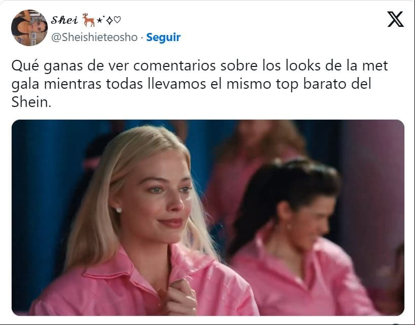 memes Met Gala 2024