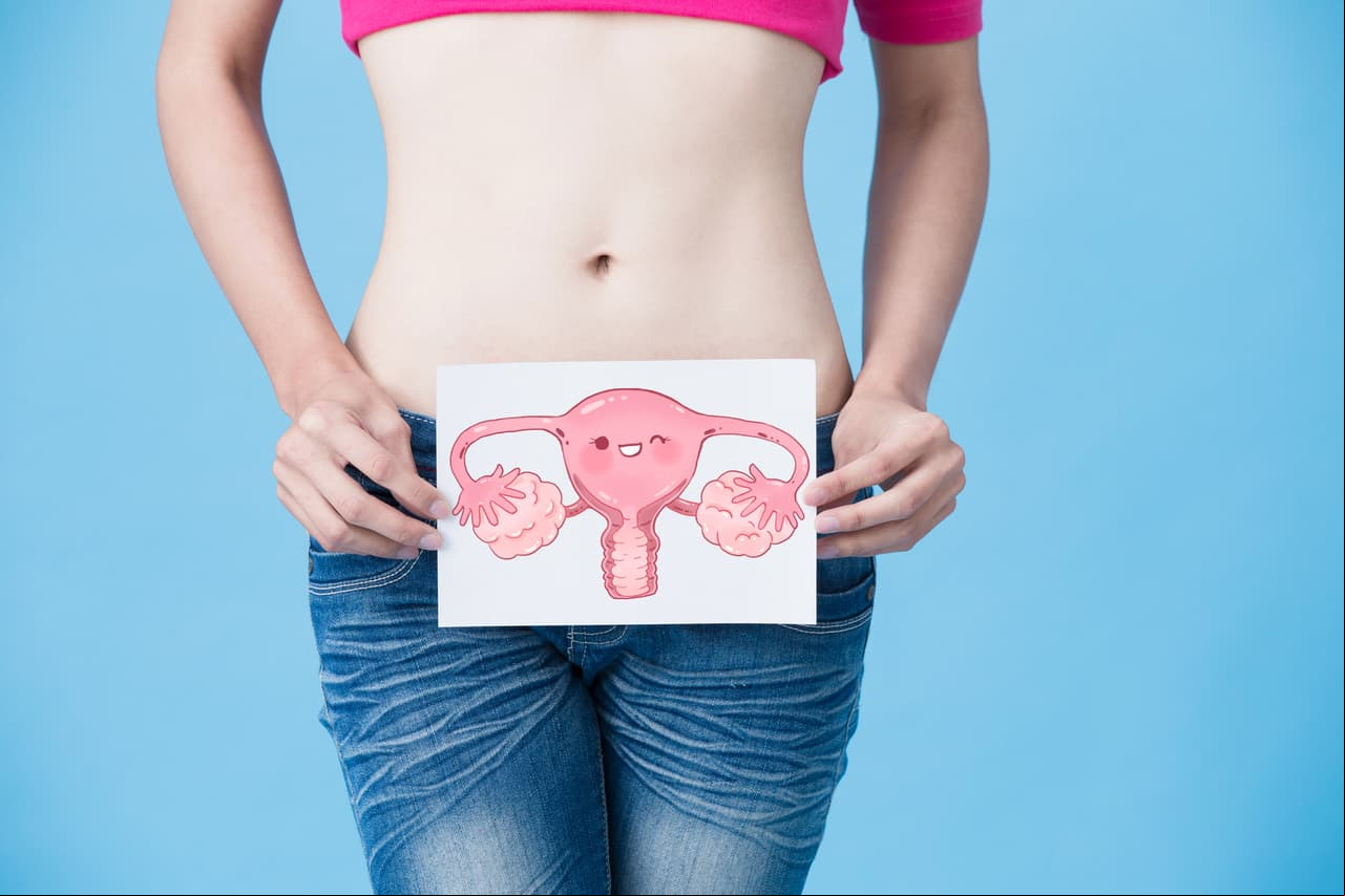 Periodos irregulares o escasez. Los periodos menstruales cortos (menores a 21 días) podrían ser signo de problemas de ovulación. La ausencia de esta indica ‘disfunción ovulatoria’.