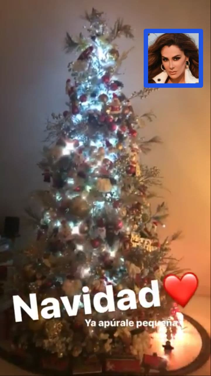 Ninel Conde presumió el árbol que puso con su hijo Emmanuel. Foto: Instagram