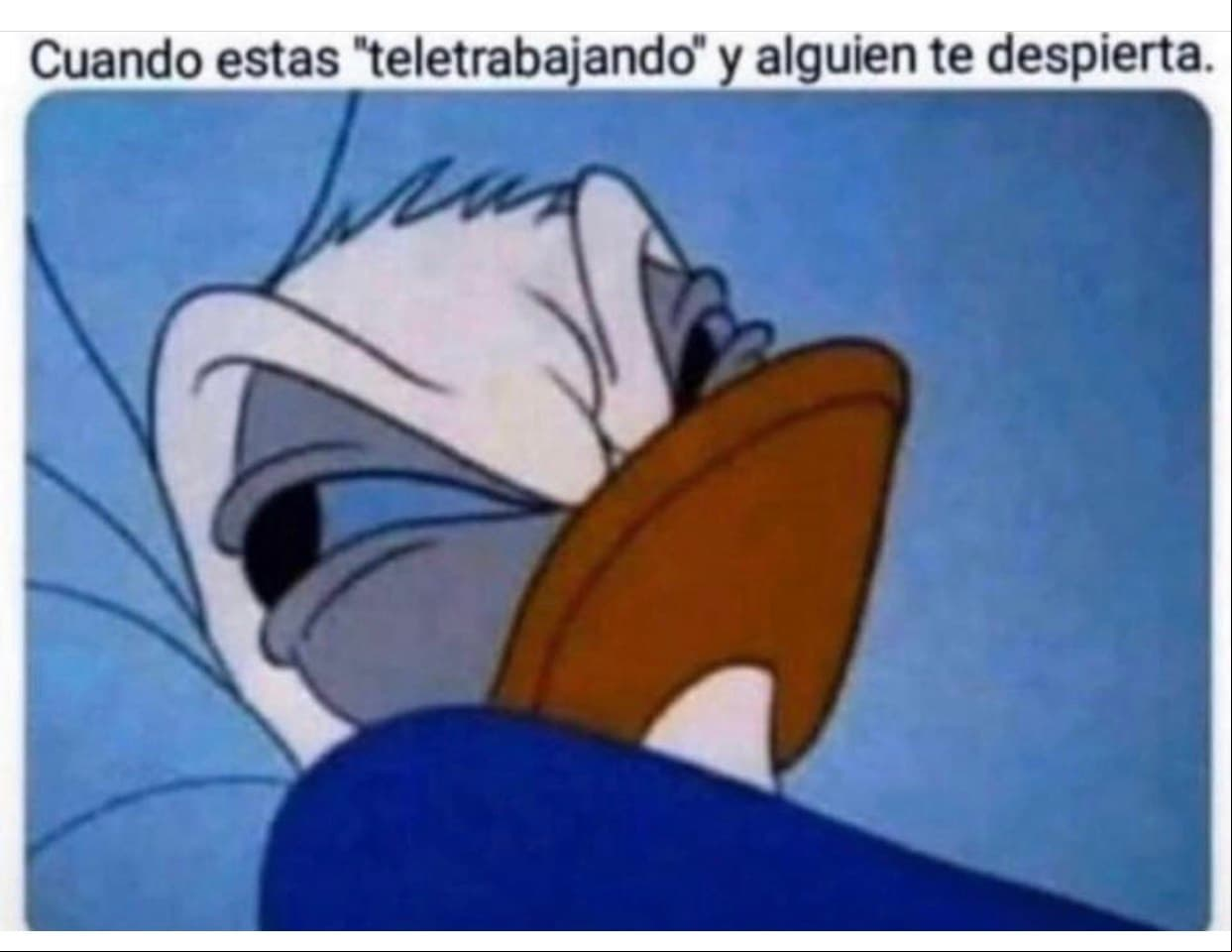Muchos Godínez viven un sueño y pesadilla al estar trabajando desde sus casas.