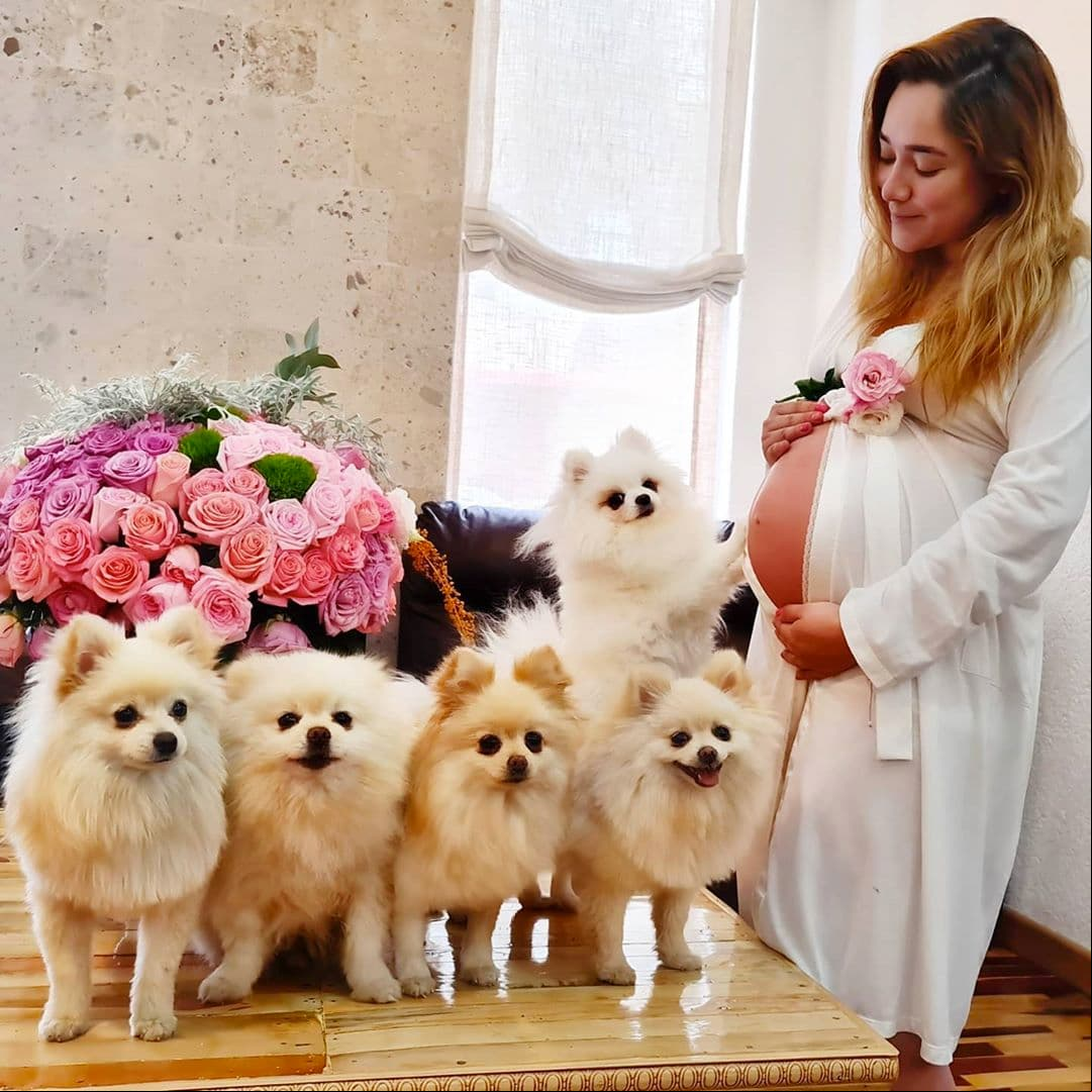 “¿Día de perros? para nada, día de amor, de respirar profundo y valorar todas las bendiciones ocultas que esta pandemia nos está regalando. Mientras se acerca la fecha para ver los ojitos de mi amado príncipe solo puedo decir GRACIAS, GRACIAS, GRACIAS”, dijo la actriz durante la semana 33 de embarazo.