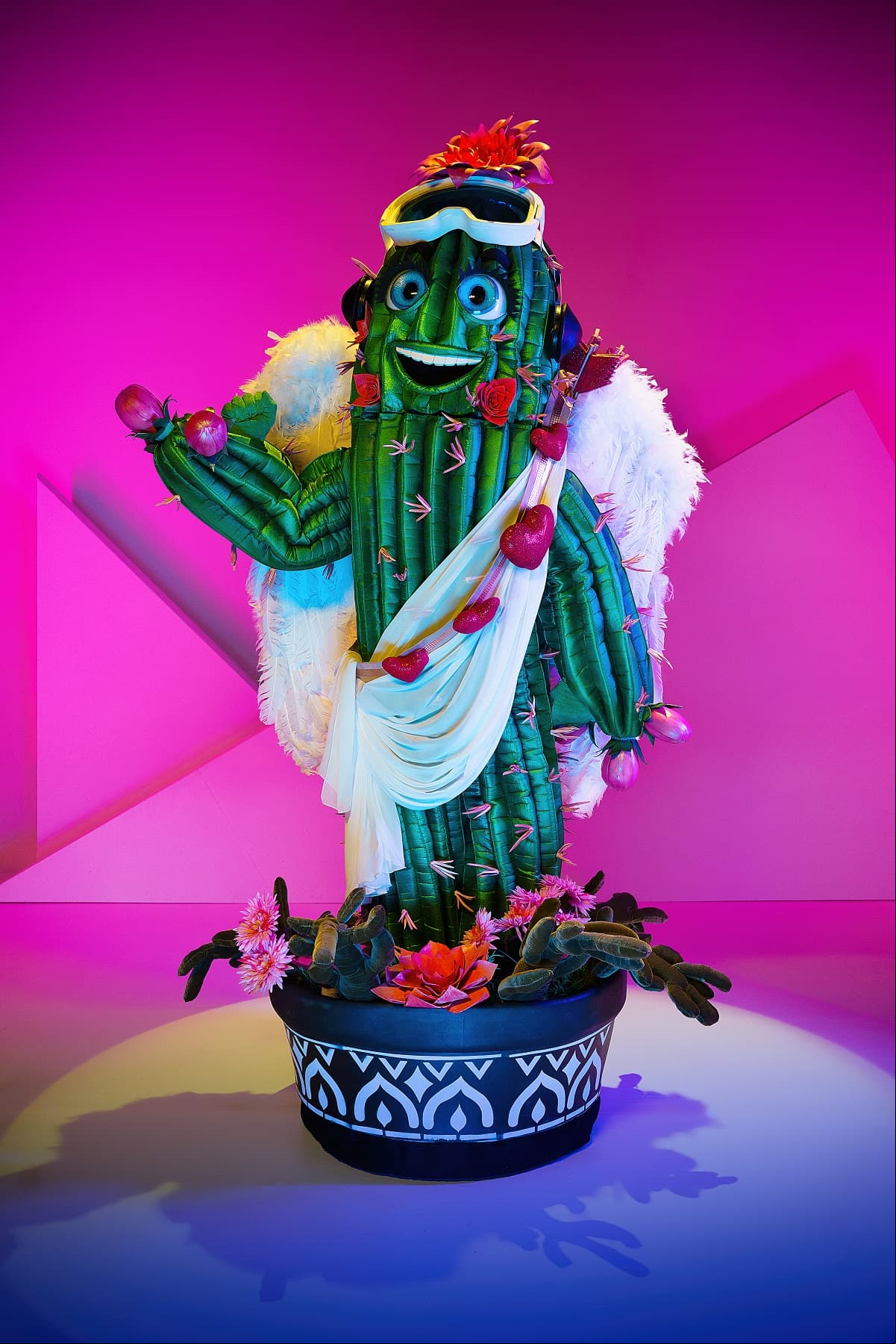 Cactus nació en medio del desierto, pero como no tenía a nadie a su alrededor, siempre se sentía solo. Él tiene mucho corazón, y la única forma de demostrar todo el amor que siente es a través de sus canciones.