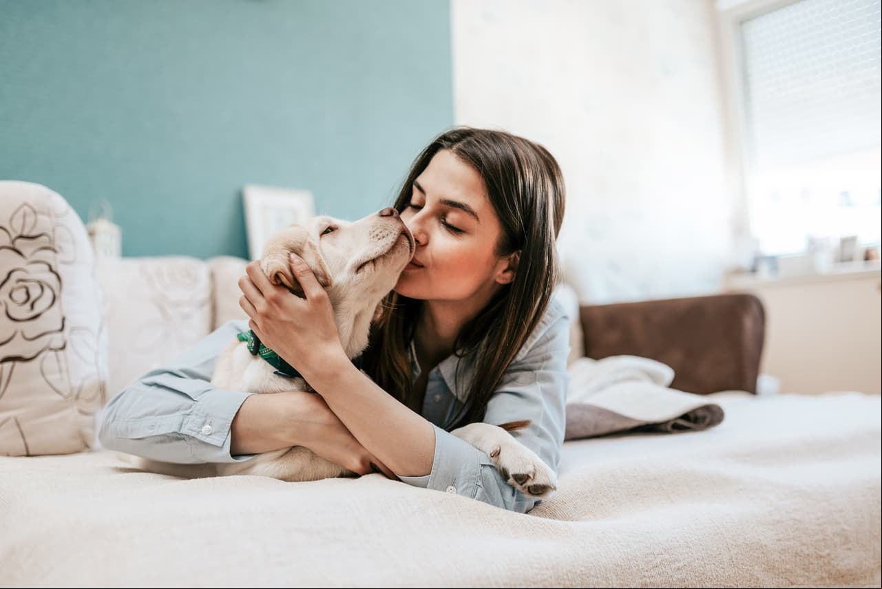 Descubre por qué tu perro podría odiar a tu ex