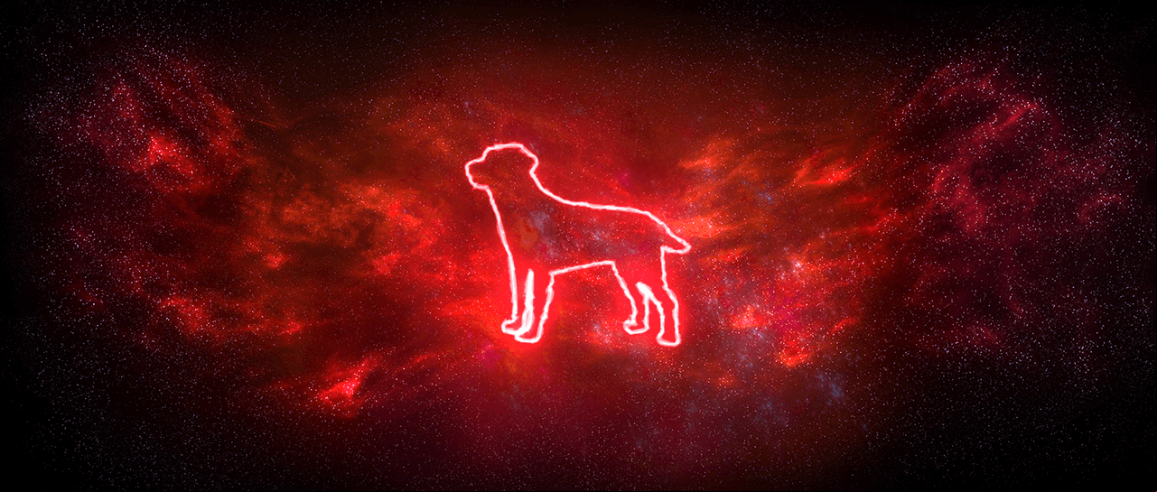 Perro: Va a estar un poco desubicado porque van a ver la realidad dividida en grupos y van a entrar en un estado de individualidad. Esto lo puede desilusionar y ofuscar, tal vez de manera exagerada. Pero esta inquietud lo hará volcarse en el trabajo y esto es lo mejor que le puede pasar este año.