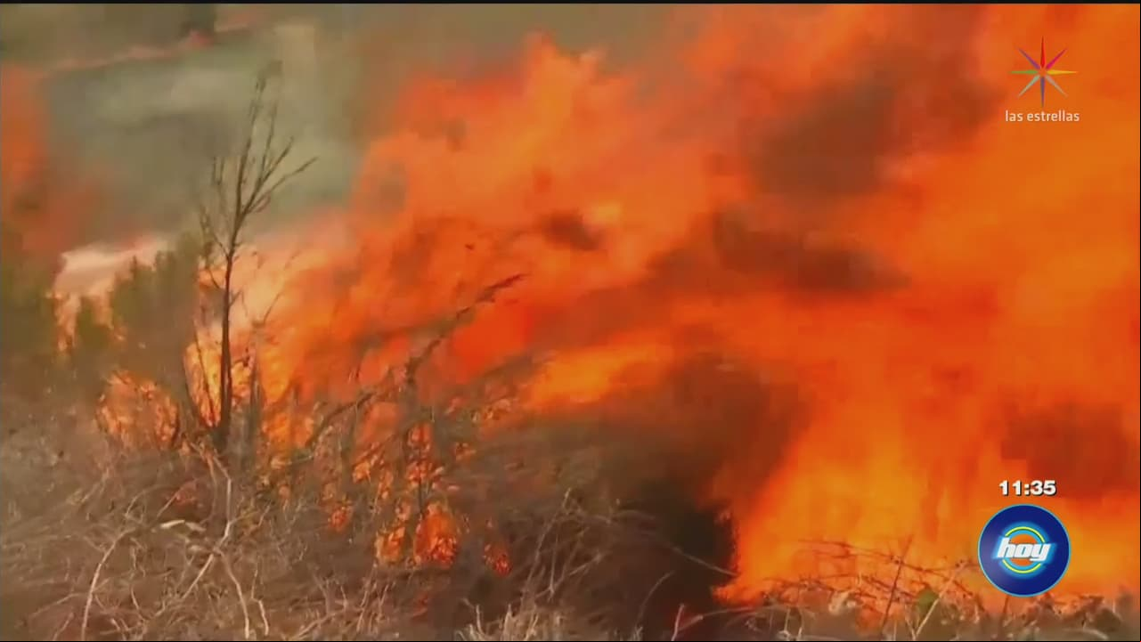 Feroz incendio en California