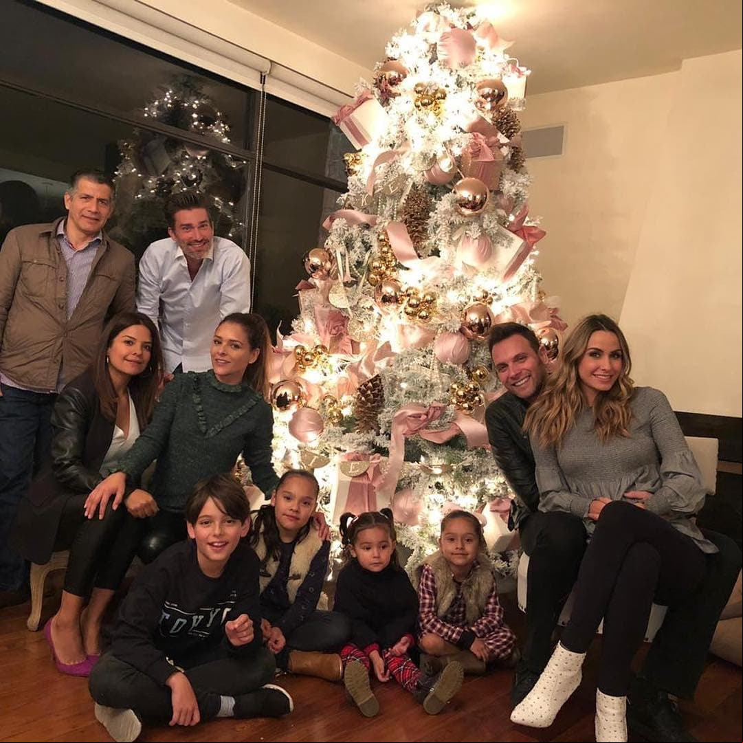 Santino y Gia: ambos son medios hermanos por parte de su padre Patricio Borghetti, quien mantuvo una relación con Grettell Valdez y en la actualidad con Odalys Ramírez.