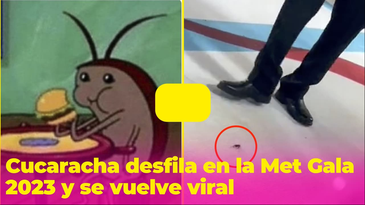 Una cucaracha desfiló en la Met Gala 2023 y las redes explotaron de memes