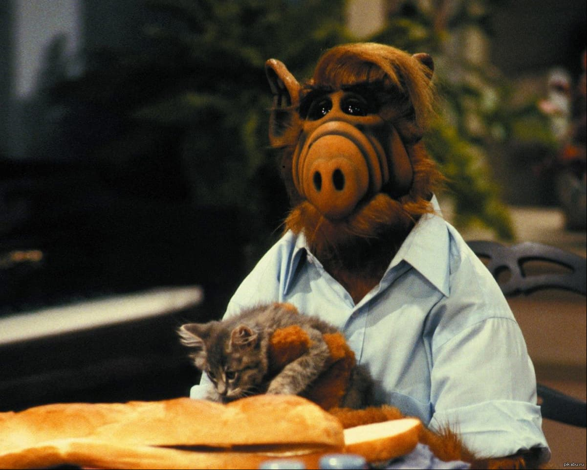 ALF quiere decir ‘Alien Life Form’ (forma de vida extraterrestre) y su verdadero nombre es ‘Gordon Shumway’
