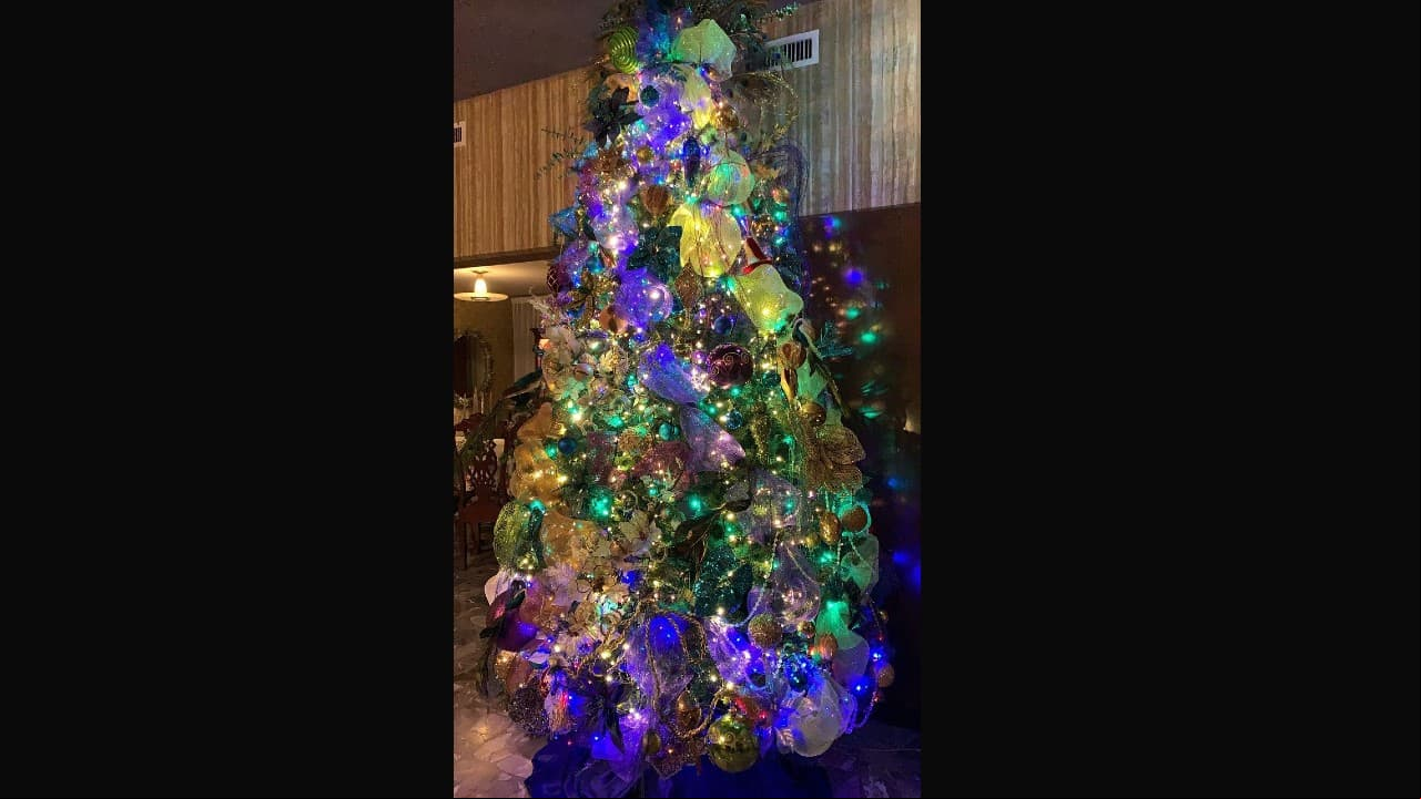 La pareja del conductor fue la encargada de mostrar cómo luce su árbol de Navidad