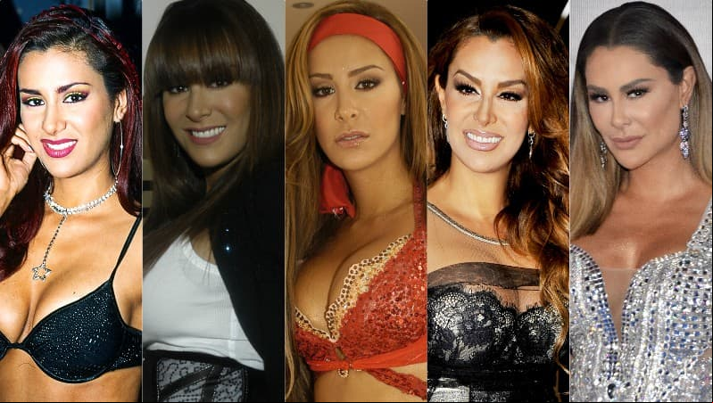 Ninel Conde es una de las actrices que han consolidado su carrera a través de los años gracias a su perseverancia. La estrella es reconocida por su trabajo en las telenovelas y en la música, siendo ‘El bombón asesino’ su más grande éxito.