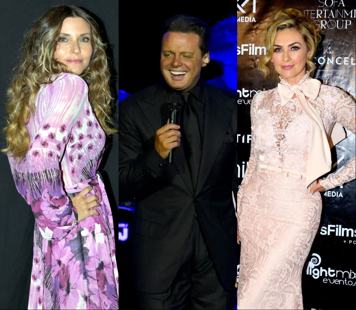 Sensuales mujeres que se robaron el corazón de Luis Miguel