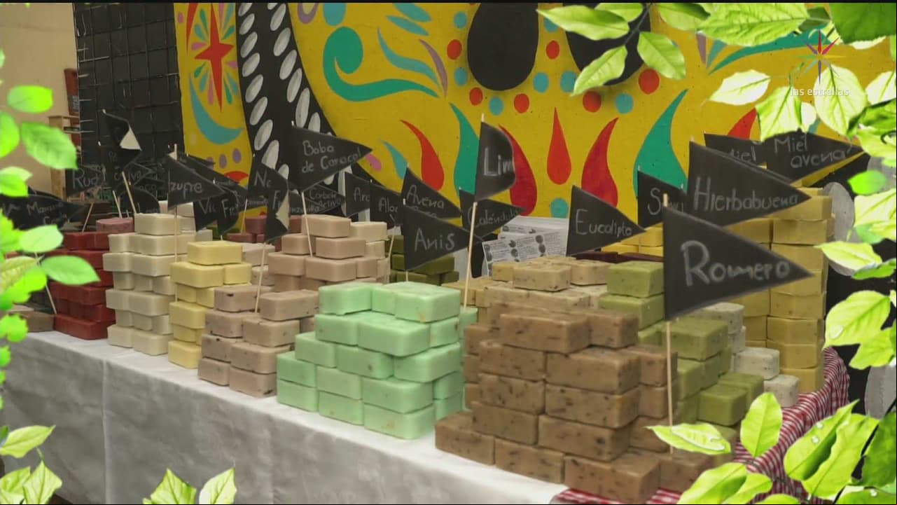 ¡Conoce el Bazar verde!