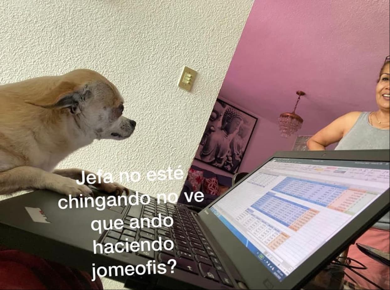 ¡Bendito jomeofis!
