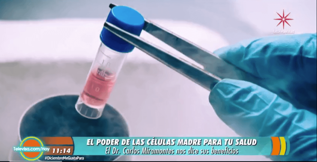 ¡Descubre el poder de las células madre!
