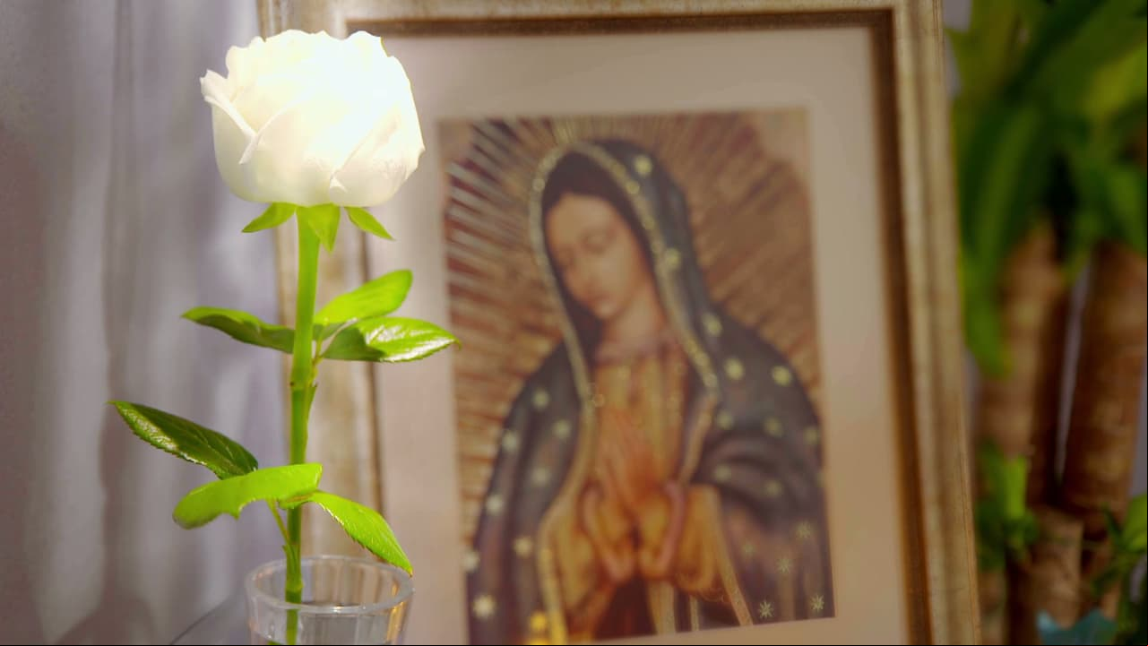 La verdadera historia de ‘La Rosa de Guadalupe’: Nació como un milagro de la Virgen ante la súplica de su creador