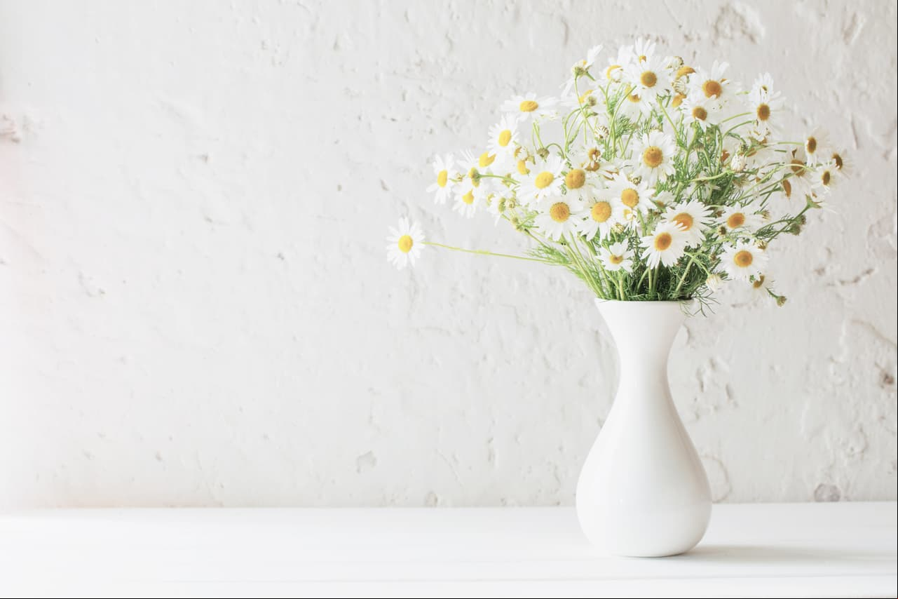 FENG SHUI: Atrae progreso con la energía de la primavera
