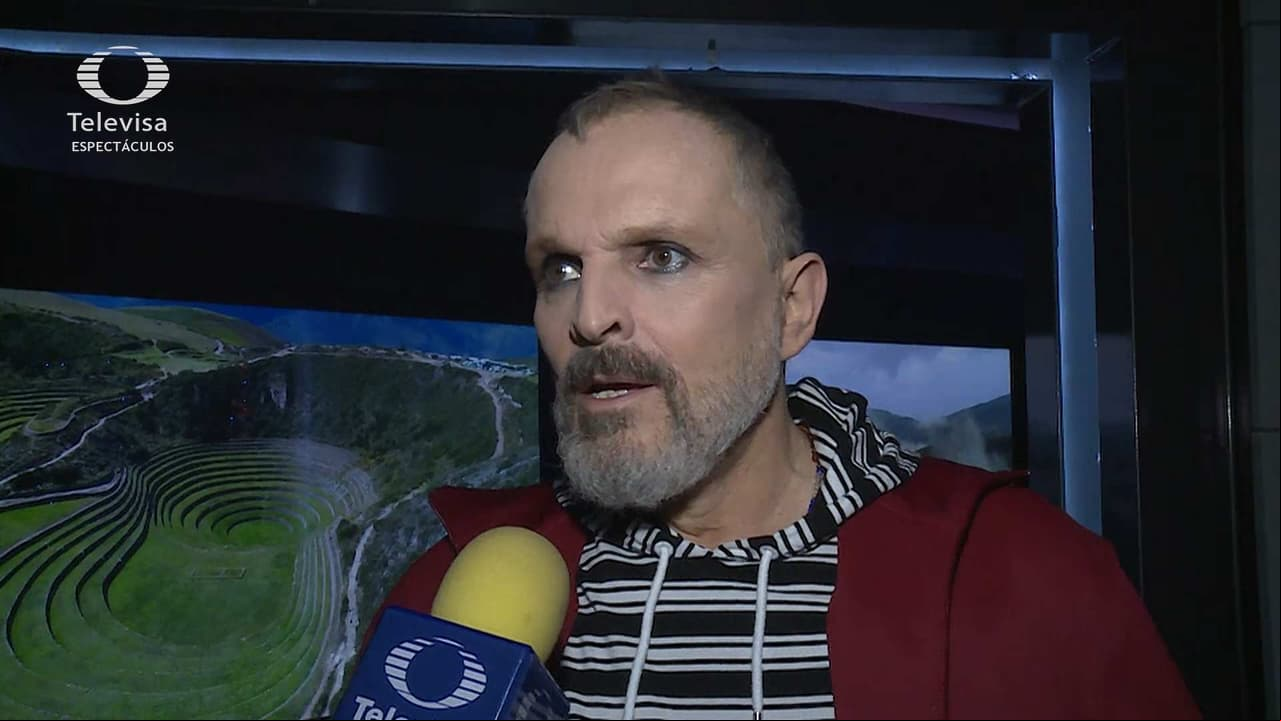 ¿Miguel Bosé podría repetir la historia de Timbiriche en ‘Pequeños Gigantes’?
