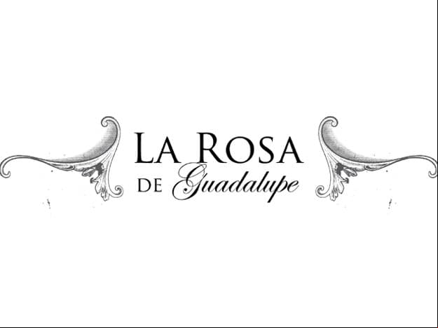 ¡Disfruta de los capítulos de La rosa de Guadalupe completamente en VIVO!