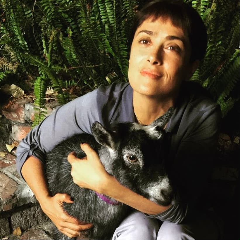 Además ese mismo año protagonizó ‘Beatriz at dinner’. “Fue increíble compartir con un director (Miguel Arteta) con el que soñaba trabajar por años y por fin lo logré a los 50. Y que un escritor (Mike White), que es uno de mis héroes, haya escrito una película para mí, no te imaginas”, expresó la actriz a AFP en junio de 2017.