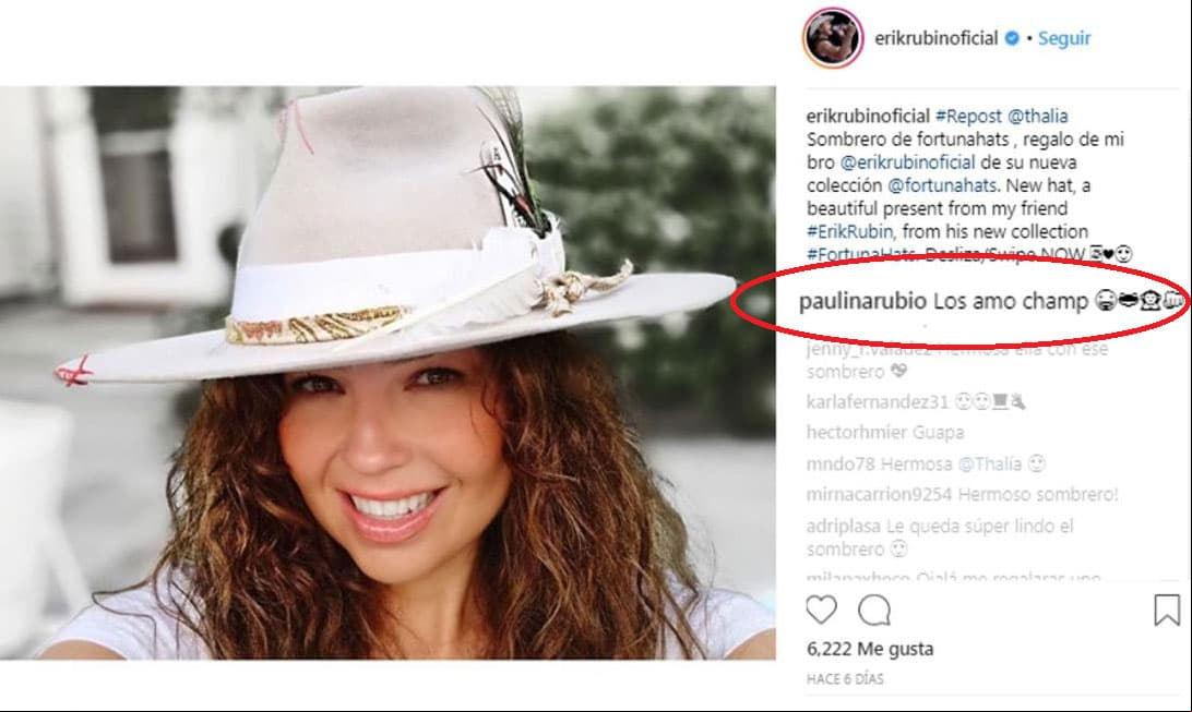 Este es el mensaje que Paulina escribió en el posteo de Erik Rubio
