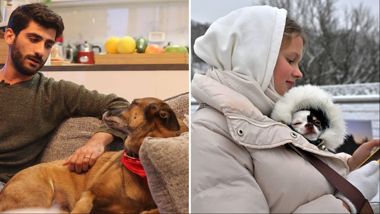‘Rara’ enfermedad está atacando a los perritos: así debes cuidar a tu mascota