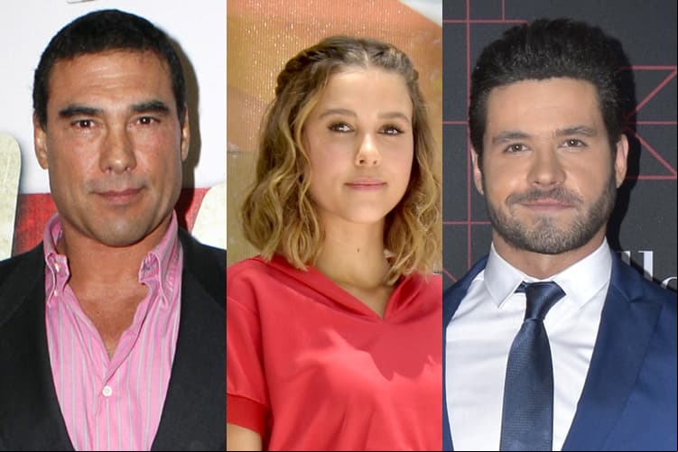 Los mejores agarrones y peleas del 2017