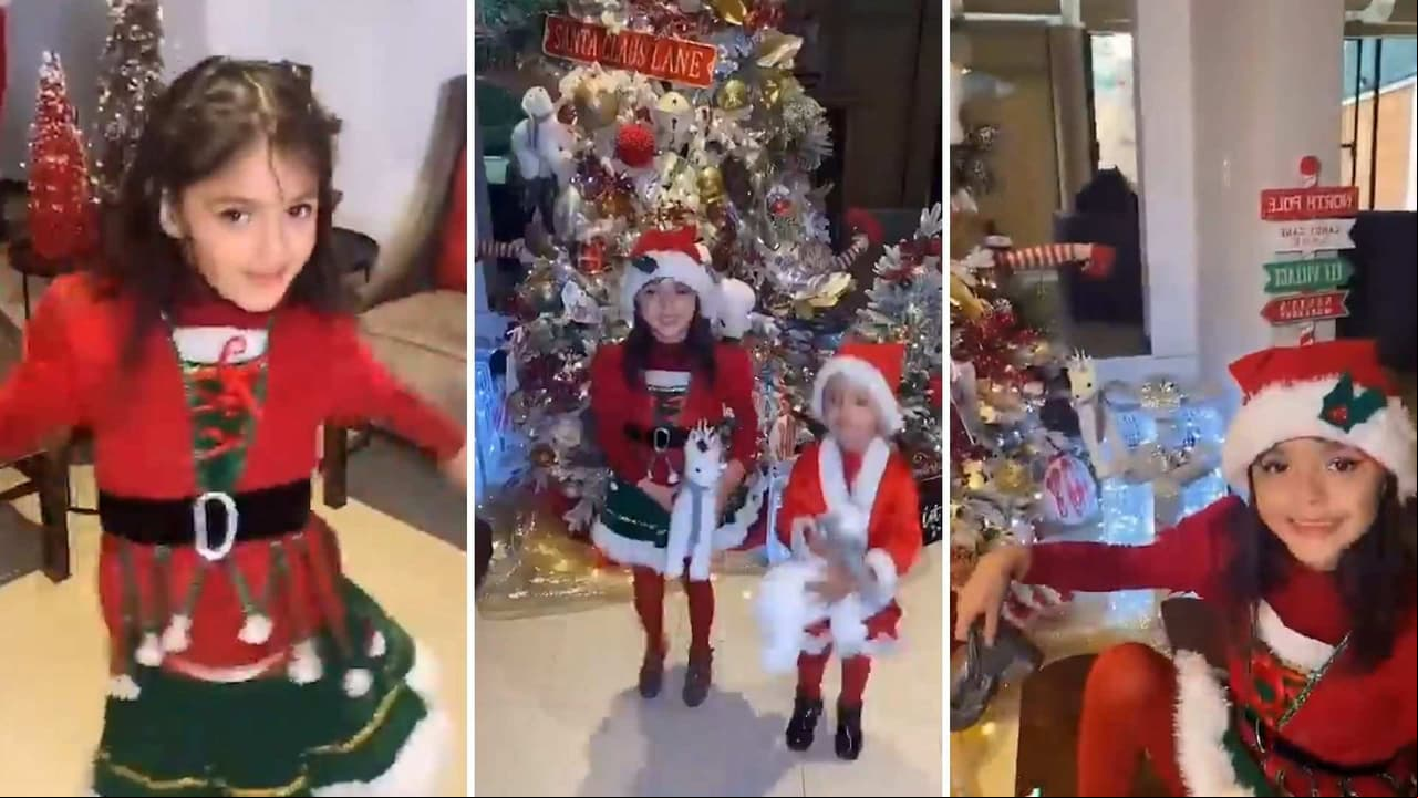 Desde osos polares hasta enormes esferas, así luce el árbol de Navidad de Marisol González