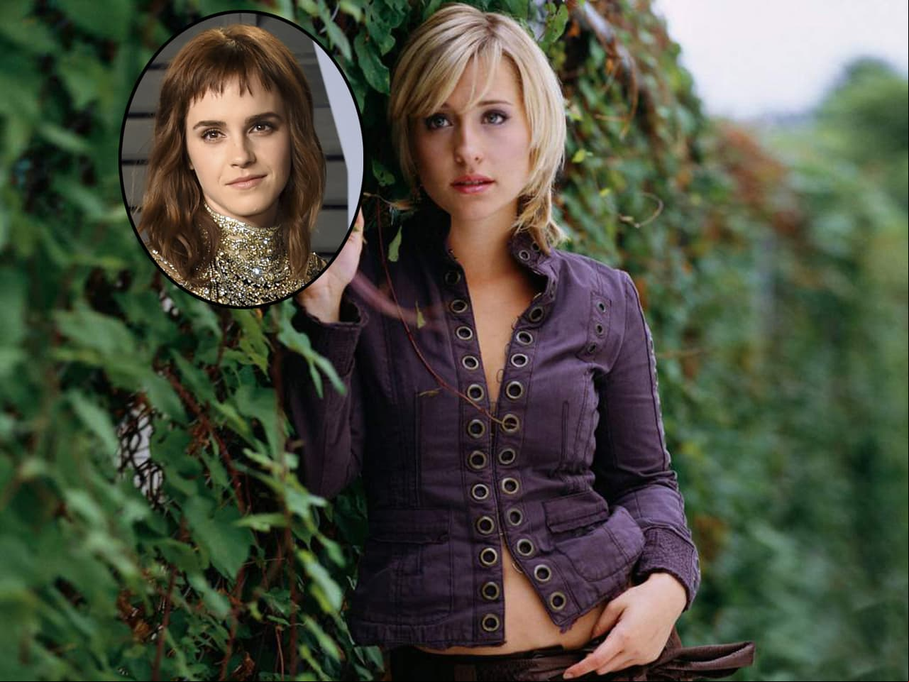 Actriz de 'Smallville' intentó reclutar a Emma Watson en la secta Nxivm