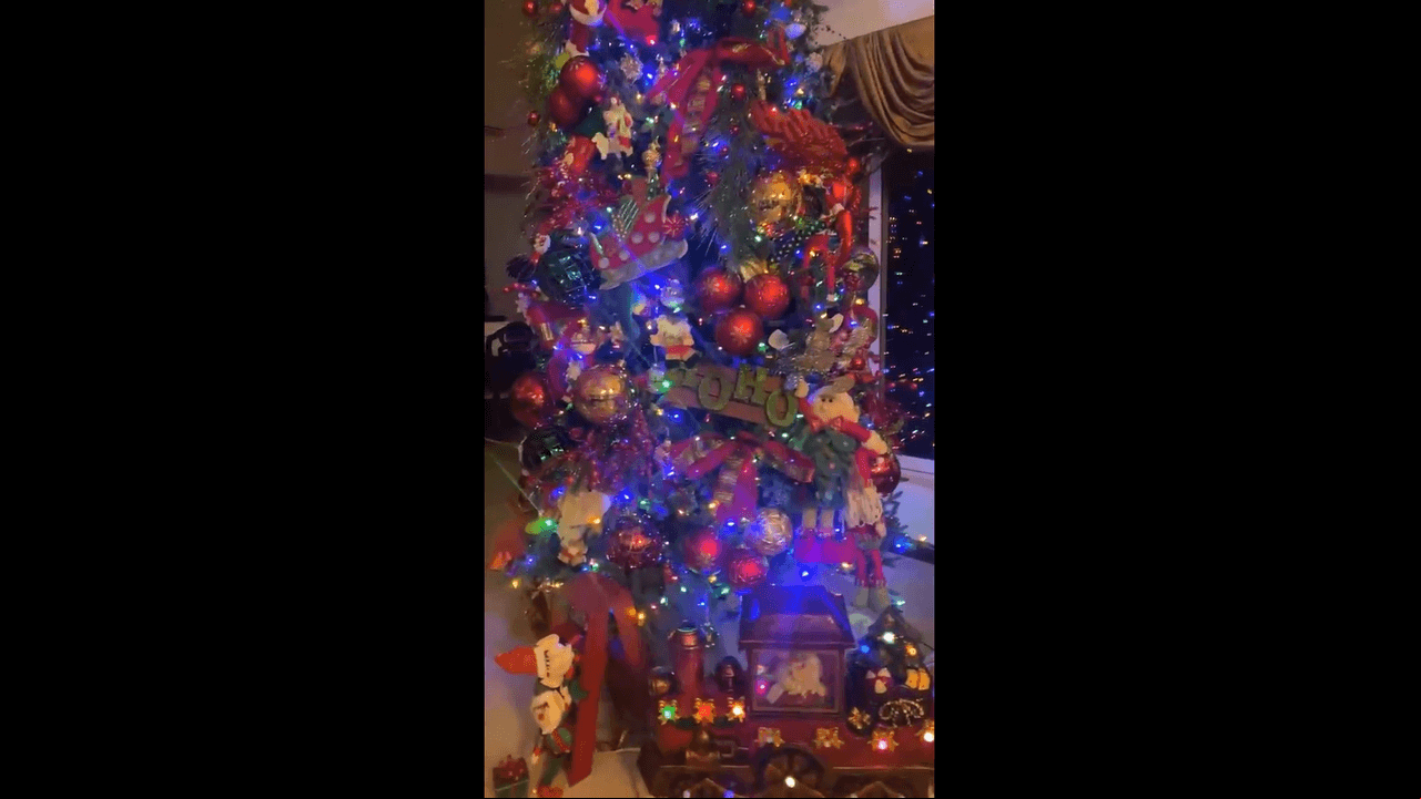 “Ahí va quedando… Estos regalos no tienen nada adentro, es más de decoración. Quedó bien la decoración, hicimos lo que pudimos”, detalló la cantante, al mismo tiempo que mostró que al pie del árbol colocaron un tren y algunos regalos como toque final.