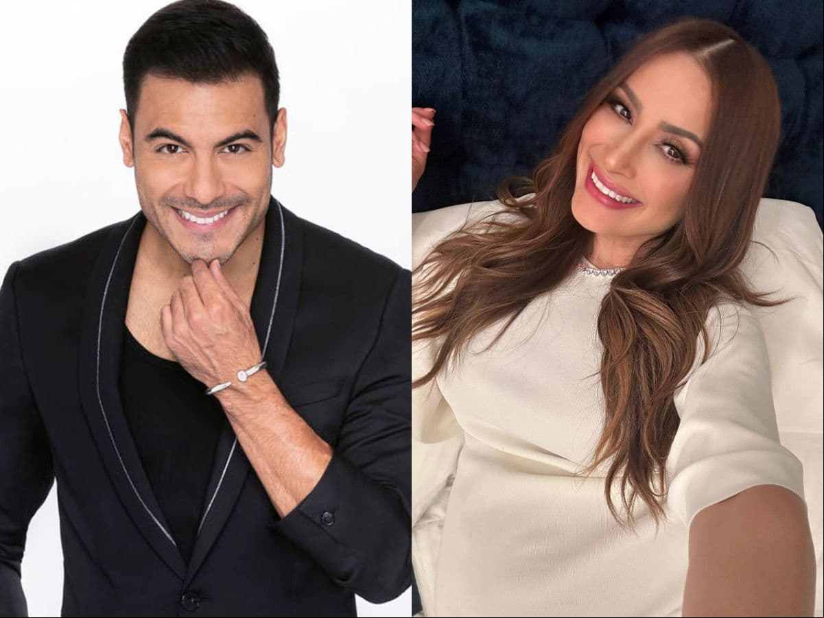 Carlos Rivera y Cynthia Rodríguez lograron embarazarse a través de un tratamiento in vitro.