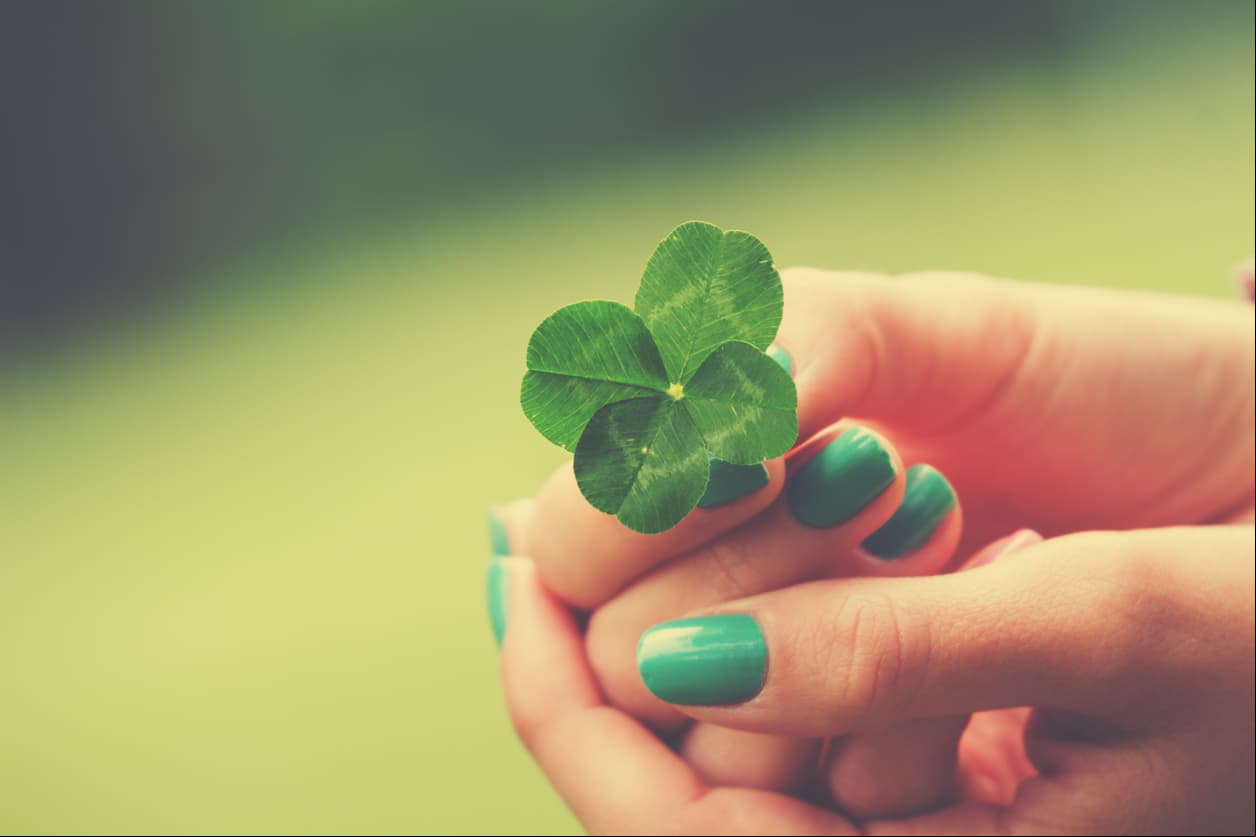 Los mejores amuletos vegetales para Cáncer son la flor de tilo, el nogal, la malva, el iris, el melón, el nabo, la amapola, el nenúfar, el sándalo blanco, el trébol, la albahaca y la anémona. Lo ideal, son solo las hojas.
