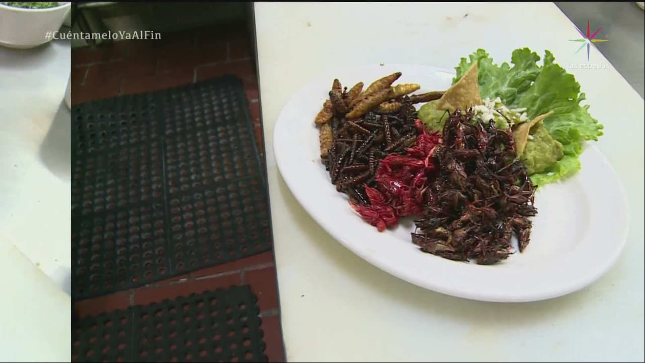 Gusanos, chinicuiles, acociles y escamoles… Disfruta de la cocina prehispánica