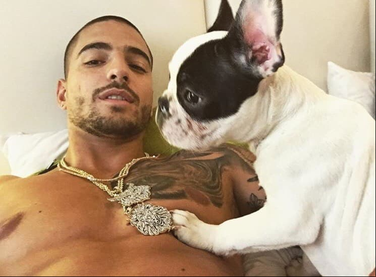 El artista disfruta de sus perros