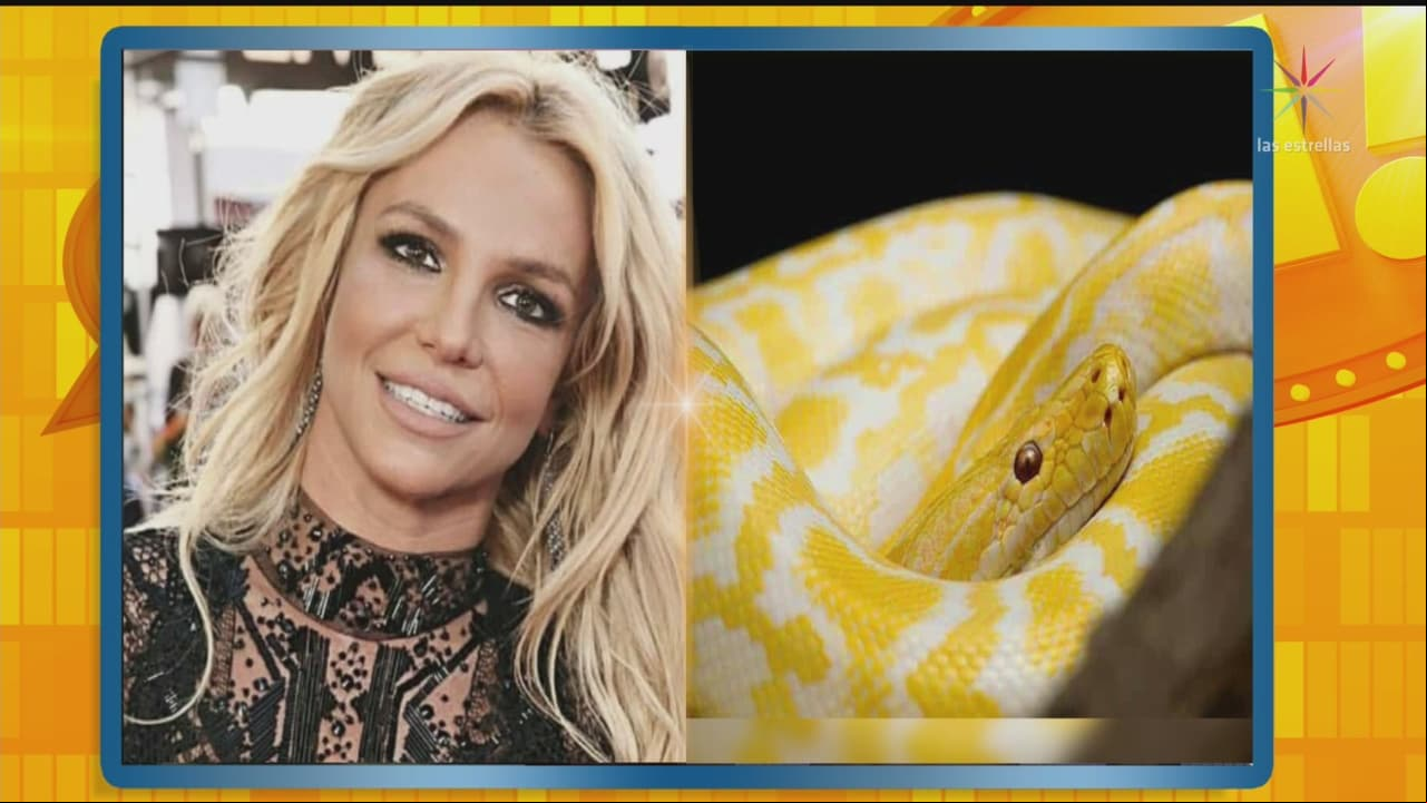 Desde los payasos hasta los gatos: Estas son las fobias más extrañas de los famosos