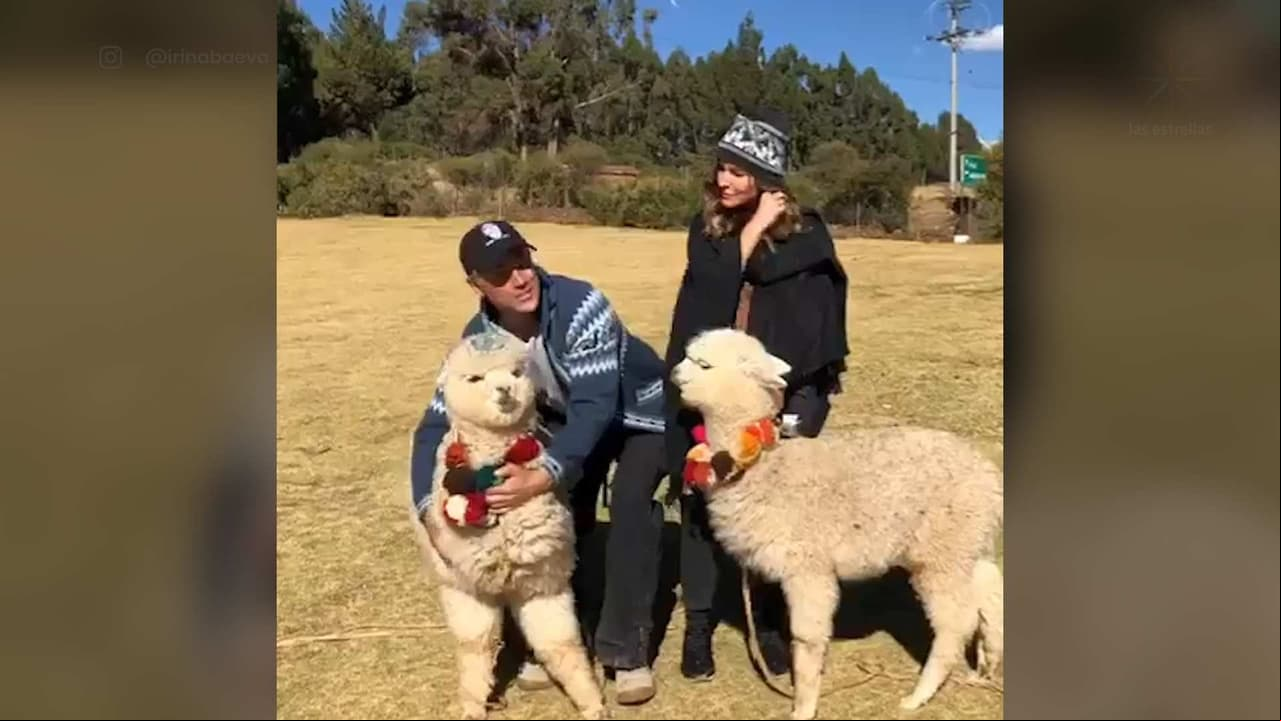 Video: Alpaca le escupe a Sergio Mayer en Perú